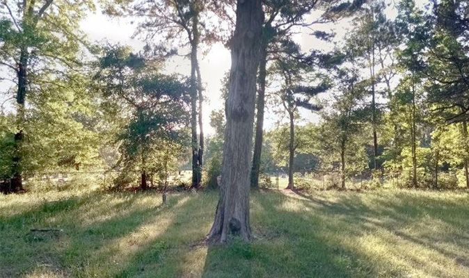 Unduh 85 Koleksi Gambar Hantu Air Paling Bagus 