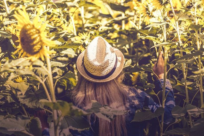 Sommeranfang 2020 So Lange Musst Du Dich Noch Gedulden Unicum