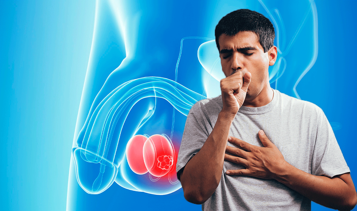 Testicular Cancer Symptoms Signs The Cancer Has Spread Express Co Uk
