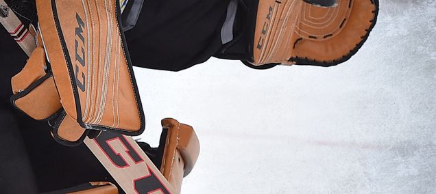 Hbd Masks 2019 Winter Classic Masks Hockey By Design