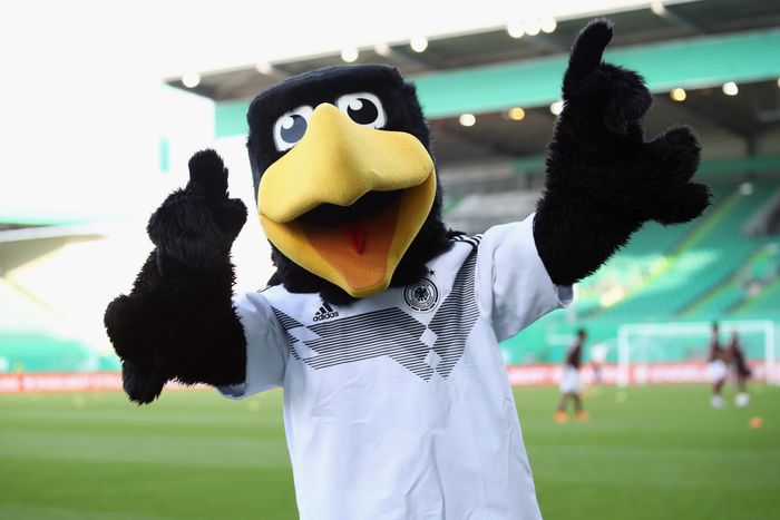 Dfb Team Dfb Droht Top Gegner Flut Im Herbst
