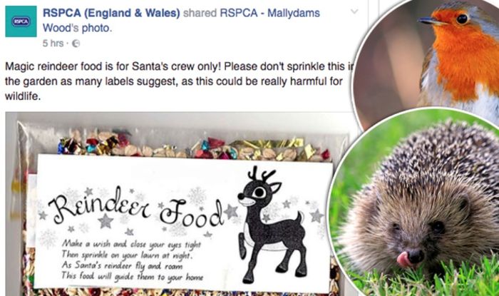 Reindeer Food Really Harmful For British Wildlife Says Rspca