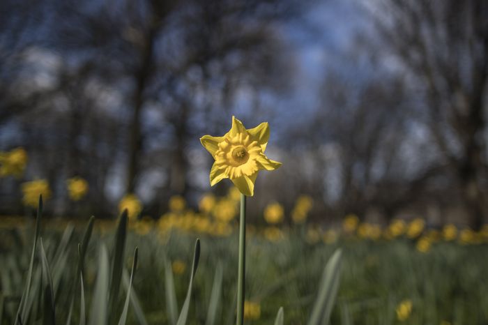 When Does Spring Officially Start In Nz It S Complicated Stuff