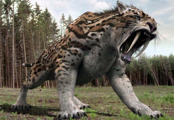 Saber Tooth Tiger Facts For Kids Best For School Research Projects