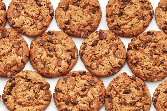biscuit quiz