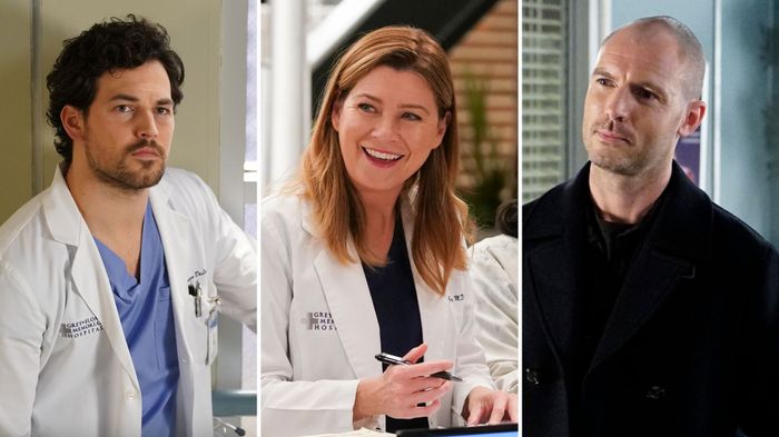 Grey S Anatomy S Love Triangle Do You Want Meredith With Deluca Or Hayes Poll Tv Insider