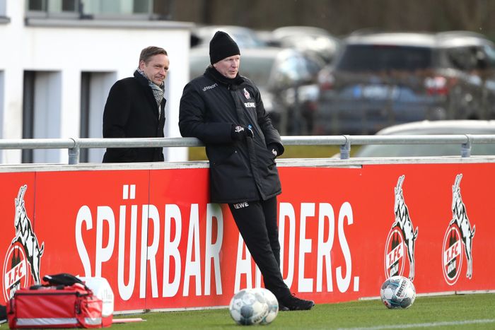 Fabian Hambuchen Verletzt Sich Bei Mockridge Show Catch Express De