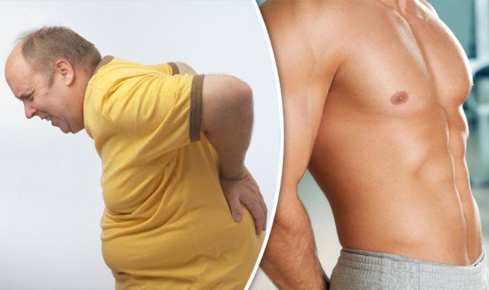 Weight Loss How To Lose Belly Fat If You Have A Bad Back With