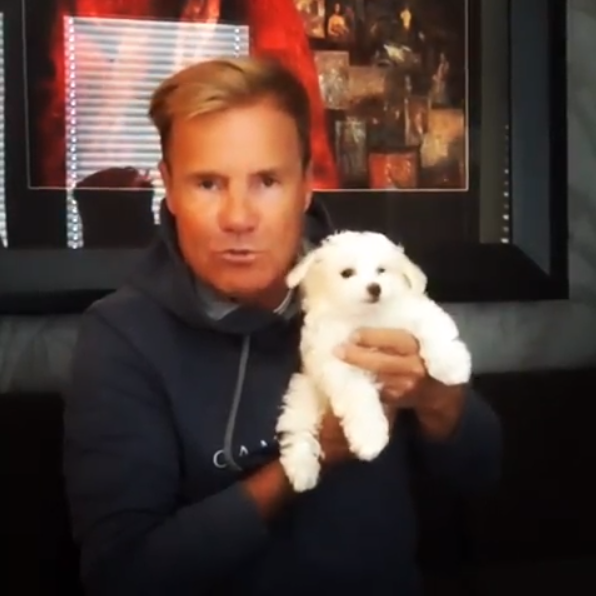 Dieter Bohlen Und Seine Carina Freuen Sich Uber Flauschigen Familienzuwachs