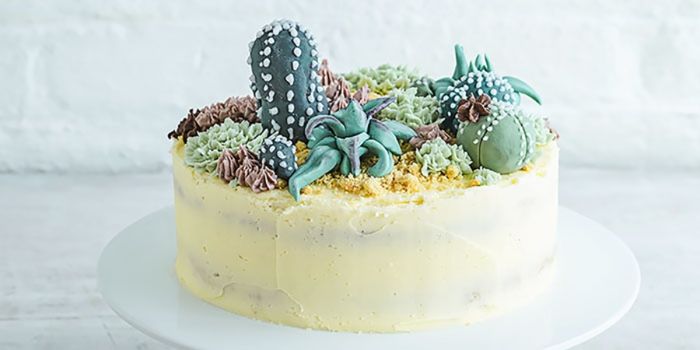 How To Decorate A Cactus Cake Bbc Good Food
