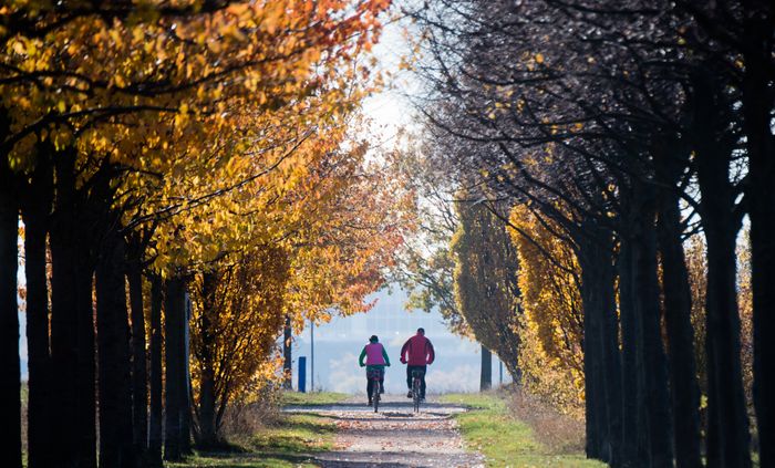 Kreis Euskirchen Verhangt Wegen Corona Zahlen Ausgangssperre Express De