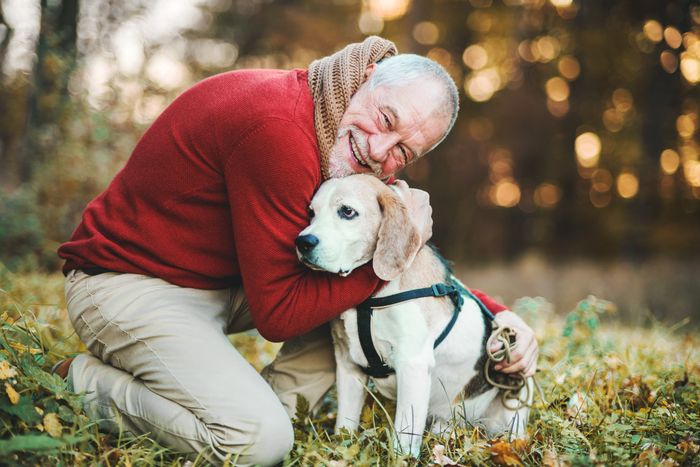 Senioren Und Hunde Experten Sagen Was Man Beachten Muss Express De