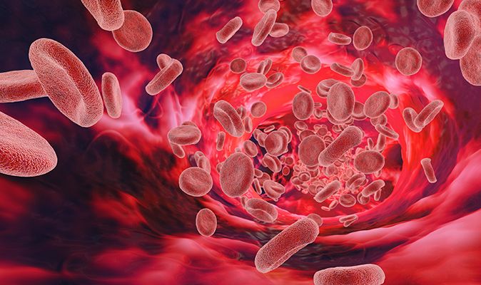 High Blood Pressure How Often Should You Check Your Reading And How To Measure It At Home Express Co Uk